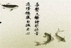 一直想要孩子结果真梦到自己怀孕了
