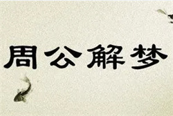 出道仙梦到蛇和狐狸打架

